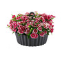 Sunny Hanging Lace Pattern Planter Round Anthracite 10in