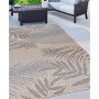 Nassau Nas430 Area Rug