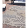 Nassau Nas430 Area Rug