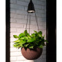 Solar Lighted Plastic Hanging Planter, 30"