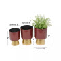 Metal Planter with Gold-Tone Base Set of 3