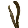 28-In. Artificial Branch, Set of 12