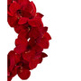 22" Amaryllis Wreath