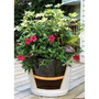 Ups-A-Daisy T6323 Planter Pot Attachment, 13in