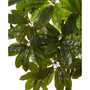 Scheffler 5' Artificial Indoor/Outdoor Tree