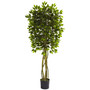 5.5' Ficus UV-Resistant Indoor/Outdoor Tree