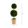 2.5ft. Preserved Boxwood Double Ball Topiary Tree in Decorative Planter