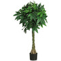 51" Artificial Braided Money Tree