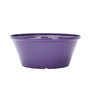 Gardener Select Tulip Bowl Planter Purple, 12 Inch