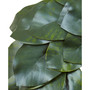24" Magnolia Leaf Wreath
