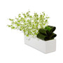 Dancing Lady Orchid Artificial Plant in Rectangular Ceramic Planter