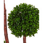 5' Boxwood Artificial Indoor/Outdoor Tree