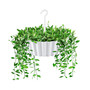 122635 Hanging Sunny Lace Pattern Planter White - 10in