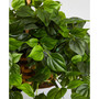 Philodendron UV-Resistant Indoor/Outdoor Artificial Plant Hanging Basket
