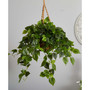 Philodendron UV-Resistant Indoor/Outdoor Artificial Plant Hanging Basket
