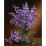 Dancing Lady, Set of 12