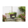 B08320S181 Pamploma Plastic Planter Cappuccino 20 Inches