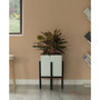 Indoor and Outdoor Planting Box, Large Planter