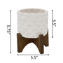 Ceramic Dimple Pattern Planter on Wood Stand, 5.5"