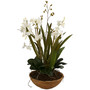 Moth Orchid Planter