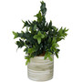 Traditional Eucalyptus Artificial Plant, 11.3"