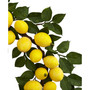 24" Artificial Lemon Wreath