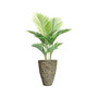 57.5" Real Touch Palm Tree in Fiberstone Planter.