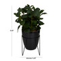 Contemporary Eucalyptus Artificial Plant, 15.3"