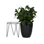 Contemporary Eucalyptus Artificial Plant, 15.3"