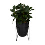 Contemporary Eucalyptus Artificial Plant, 15.3"