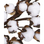 20" Cotton Ball Wreath