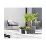 Rotterdam Modern Recycled Plastic Pot Planter, Grey, 8 Inches