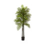 7' Double Robellini Palm UV-Resistant Indoor/Outdoor Tree
