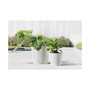 Amsterdam Recycled Plastic Planter, Pure White, 10 Inches