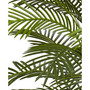 5.5’ Indoor/Outdoor UV-Resistant Artificial Double Robellini Palm Tree