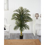 5.5’ Indoor/Outdoor UV-Resistant Artificial Double Robellini Palm Tree