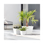Rotterdam Plastic Planter, Pure White, 8 Inches