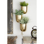 Contemporary Metallic Hanging Wall Planter Rack