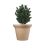 HC CompaniesTerrazzo Round Plastic Planter Pot Sandstone Color 17 Inch