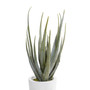 Contemporary Aloe Vera Artificial Plant, 33.5"