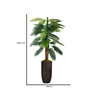 72.25" Real Touch Palm Tree in Resin Planter