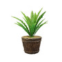 30"H Real Touch Agave
