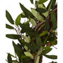 20" Olive Wreath