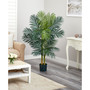 5' Golden Cane Palm Tree