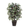 4' Artificial Capensia Bush, Square Willow Basket