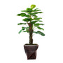 Artificial Faux Real Touch 58" Tall Real Touch Greenery And Fiberstone Planter
