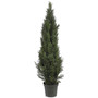 5' Mini Cedar Pine Indoor/Outdoor Tree