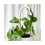 Plant Support Stake - White Loop