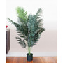 5' Paradise Palm