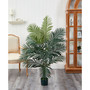 5' Paradise Palm